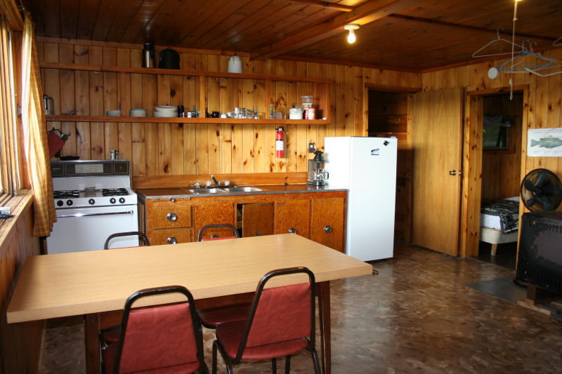 Cabin 2 kitchen
