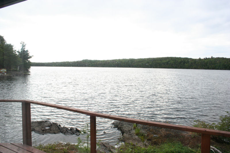 Cabin 1 lake view